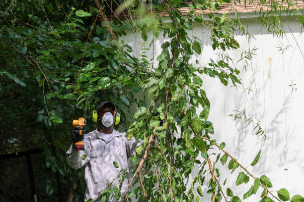 Best Tree Health Inspection  in Cranford, NJ